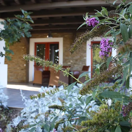 Kikelet Udvarhaz דירה Zánka